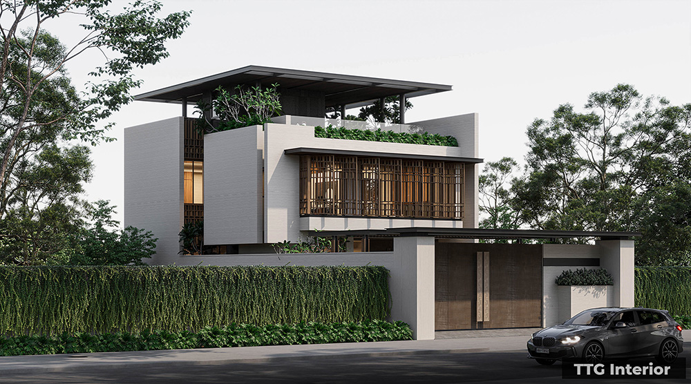Vườn đứng và cây dây leo ở tường rào